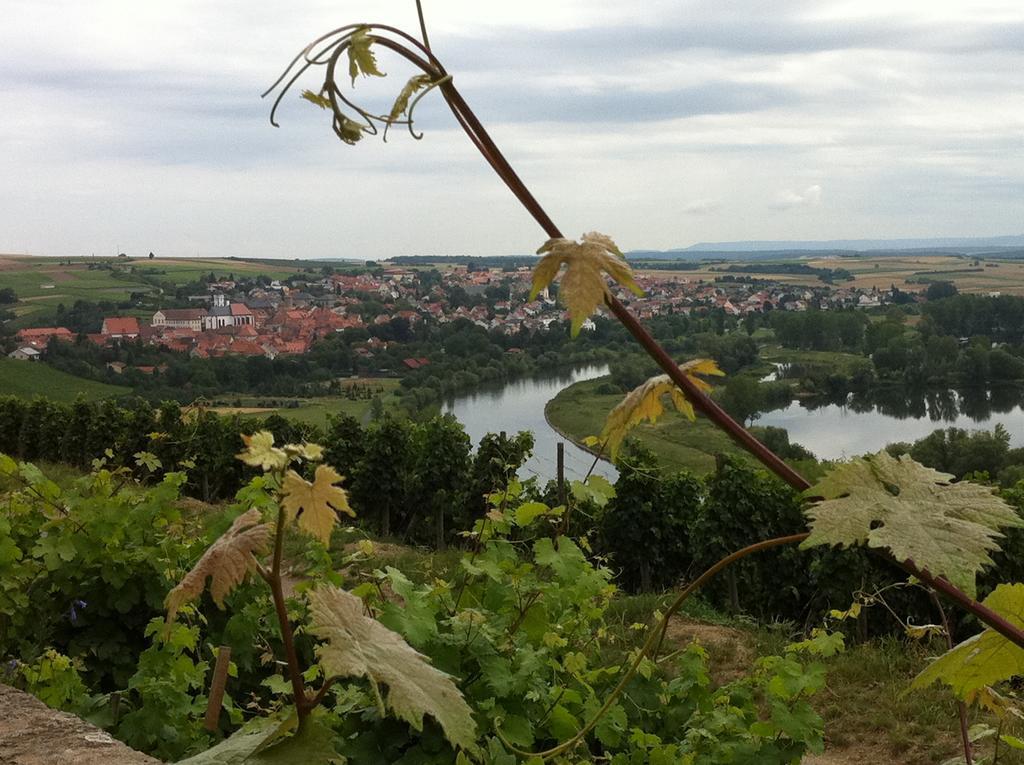 Akzent Hotel Am Bach ดัทเทลบาค ภายนอก รูปภาพ